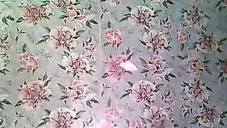 Cerd_Ayaz nude pussy closeups on cam for live sex video chat