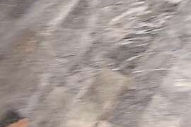 desixrani nude pussy closeups on cam for live sex video chat