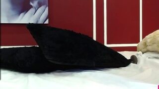 ., ｡.???????:｡.?? nude before cam – live sex chat