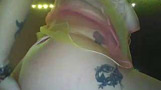 SexxxyTaylorD nude pussy closeups on cam for live sex video chat