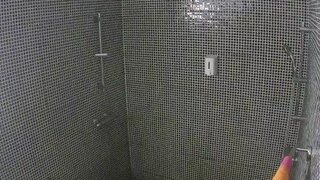 Voyeurcam-aimeedeea-bathroom nude before cam – live sex chat