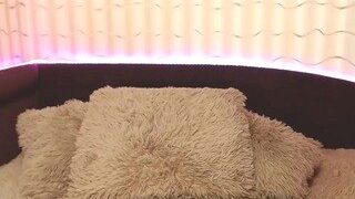 YourBustyKatty nude before cam – live sex chat