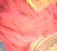 nikita8909 nude pussy closeups on cam for live sex video chat