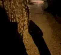 TwixCouple nude pussy closeups on cam for live sex video chat