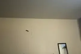 BaddKitty_purrrrs nude closeups on webcam for live sex video chat
