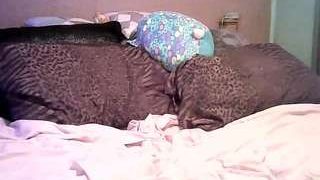 Chickens nude before webcamcam – live sex chat