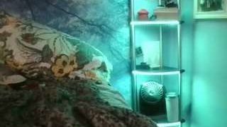 Submissive Kat nude before webcamcam – live sex chat
