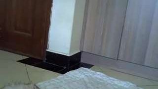KimaniRena nude before webcamcam – live sex chat