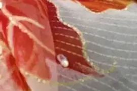 Cute–Jaan nude closeups on webcam for live sex video chat